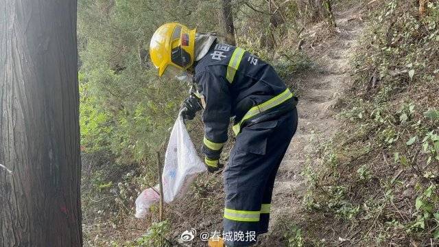 一條菜花蛇鉆進電表箱:電表計量箱
